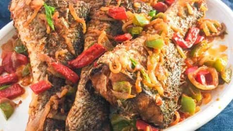 Croaker Fish