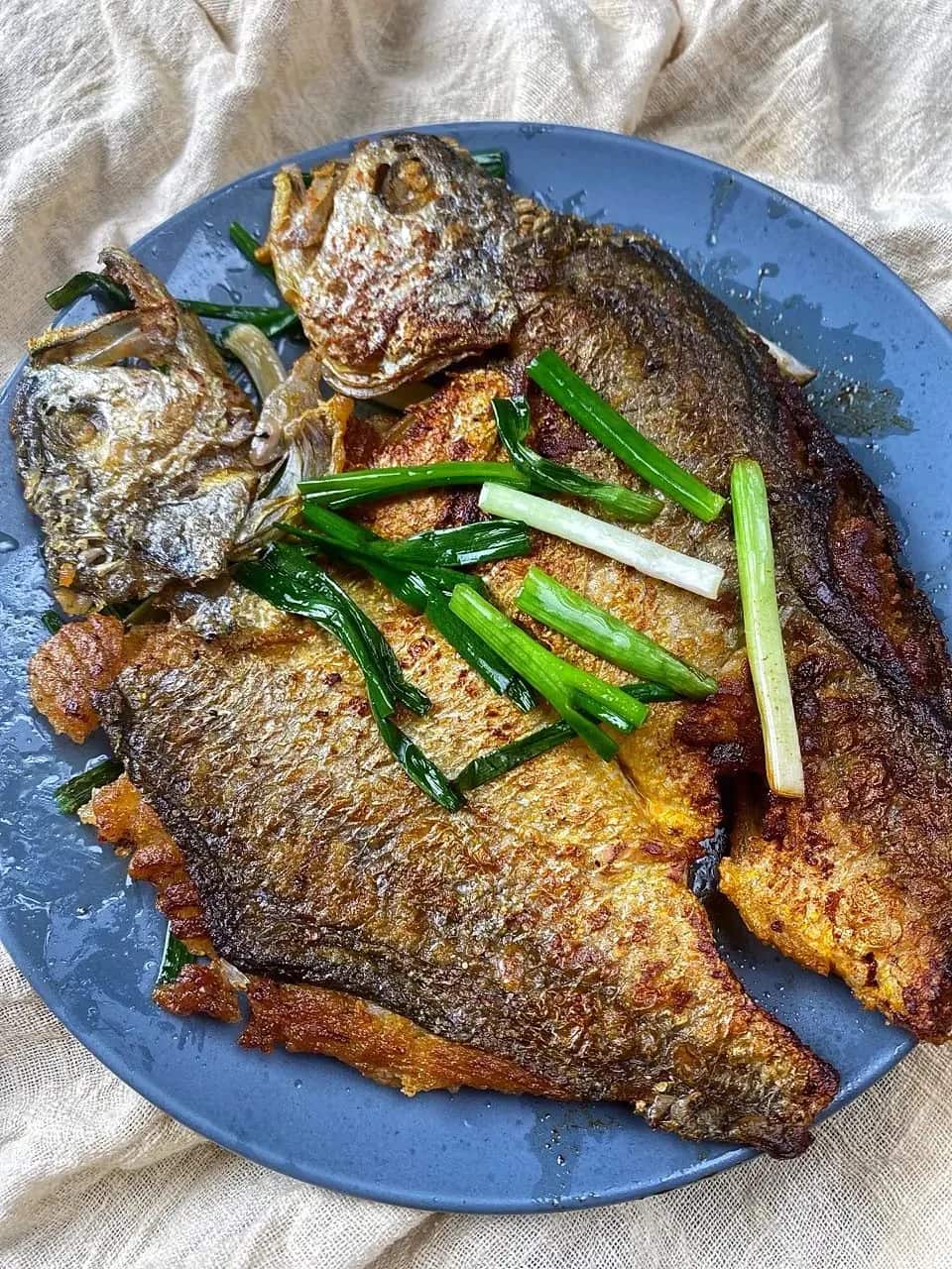 Croacker Fish